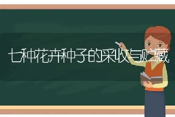 七种花卉种子的采收与贮藏