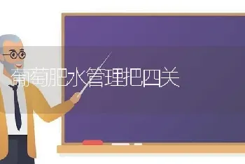 桃、李树冬季管理方法