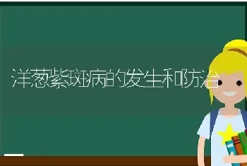 洋葱紫斑病的发生和防治