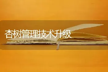 杏树管理技术升级