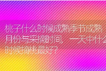 桃子什么时候成熟季节成熟月份与采摘时间