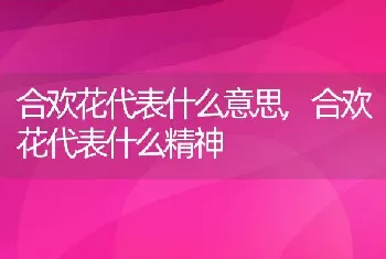 合欢花代表什么意思