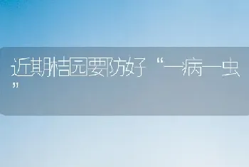 近期桔园要防好“一病一虫”