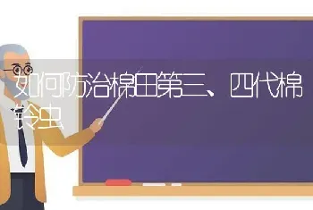 如何防治棉田第三、四代棉铃虫