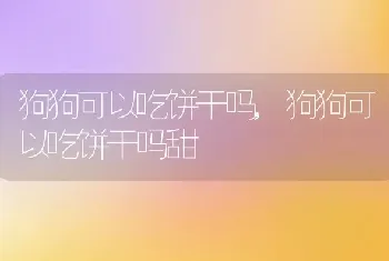 狗狗可以吃饼干吗,狗狗可以吃饼干吗甜