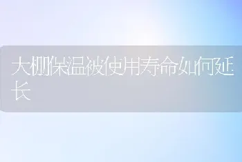 大棚保温被使用寿命如何延长