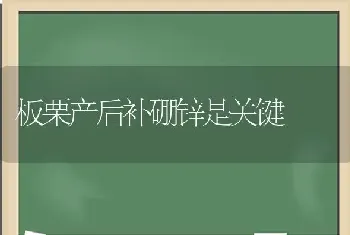 板栗产后补硼锌是关键