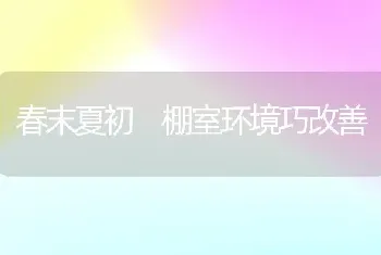 春末夏初 棚室环境巧改善