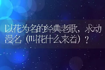 以花为名的经典老歌