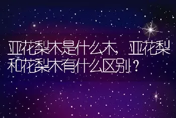 亚花梨木是什么木