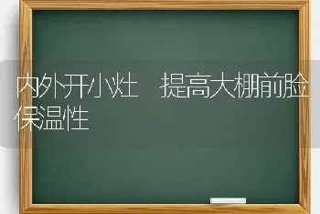 内外开小灶 提高大棚前脸保温性