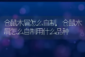 仓鼠木屑怎么自制,仓鼠木屑怎么自制用什么品种