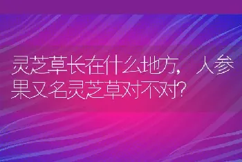 松茸的储存方法