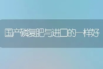 国产磷复肥与进口的一样好