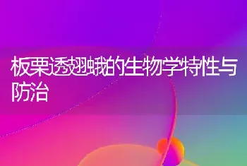 板栗透翅蛾的生物学特性与防治