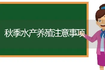 秋季水产养殖注意事项