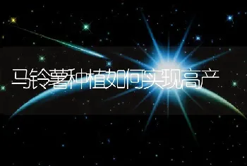 野生八月瓜扦插育苗方法及大规模种植技术