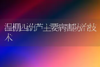 温棚西葫芦主要病害防治技术