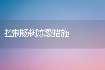 控制杨树冻裂措施