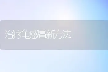 治疗龟感冒新方法