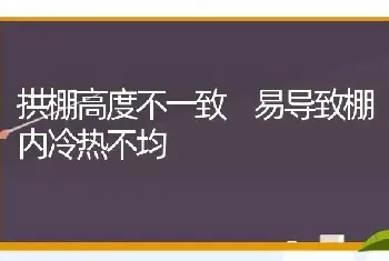 拱棚高度不一致 易导致棚内冷热不均