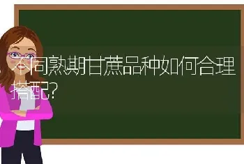 不同熟期甘蔗品种如何合理搭配?