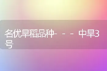 名优旱稻品种---中旱3号