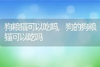 狗粮猫可以吃吗,狗的狗粮猫可以吃吗