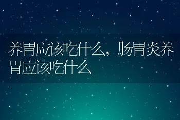 养胃应该吃什么,肠胃炎养胃应该吃什么