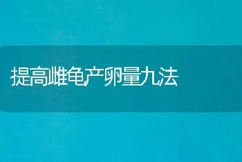 提高雌龟产卵量九法