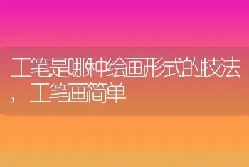 工笔是哪种绘画形式的技法