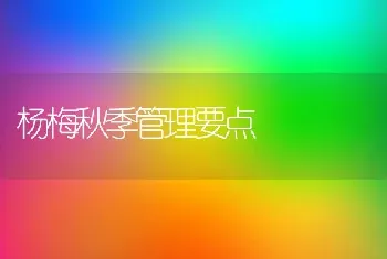 杨梅秋季管理要点