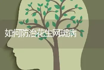 如何防治花生网斑病