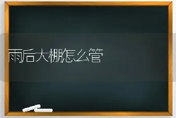 雨后大棚怎么管