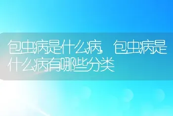 包虫病是什么病