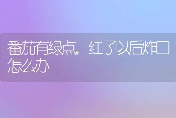 番茄有绿点,红了以后炸口怎么办