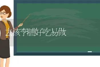 去核李脯好吃易做