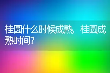 桂圆什么时候成熟