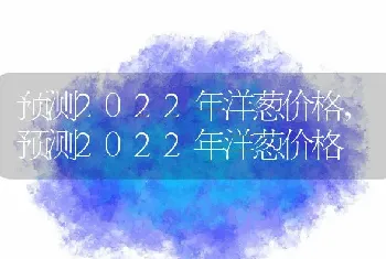 预测2022年洋葱价格