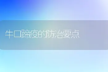 牛口蹄疫的防治要点