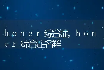 honer综合症