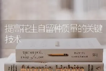 提高花生自留种质量的关键技术