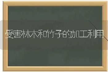 受害林木和竹子的加工利用