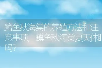 鳟鱼秋海棠的养殖方法和注意事项