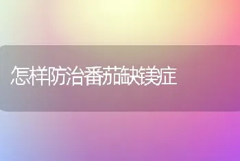 怎样防治番茄缺镁症