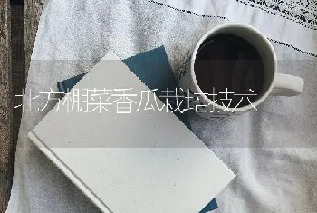 茶叶新品种 种出高效益