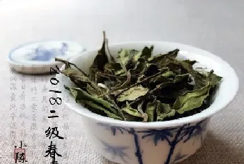 寿眉怎么泡才正确方法