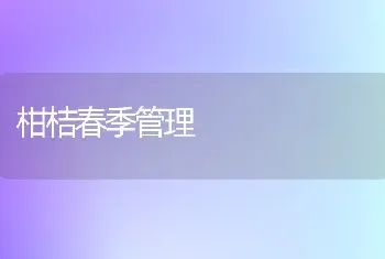 柑桔春季管理