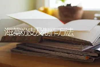 海藻粉皮及制作方法