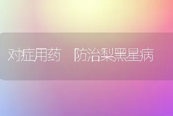 对症用药 防治梨黑星病